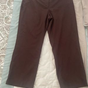 Brown Jaclyn Smith Women Pants 16 Short